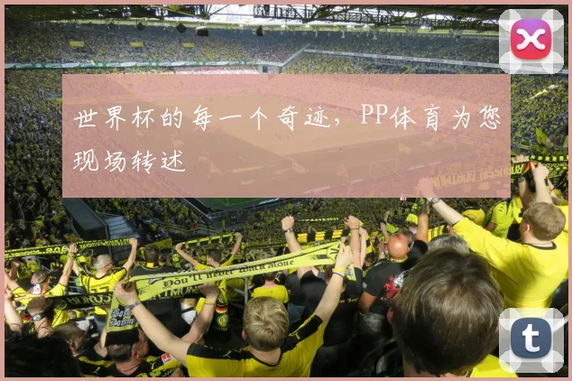 世界杯的每一个奇迹，PP体育为您现场转述