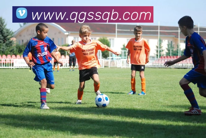 App界面